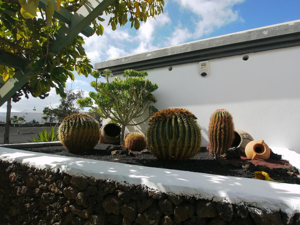 Apartamentos Guacimeta Matagorda  Exteriér fotografie