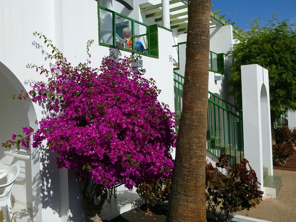 Apartamentos Guacimeta Matagorda  Exteriér fotografie